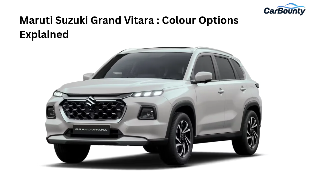 Maruti Suzuki Grand Vitara : Colour Options Explained
